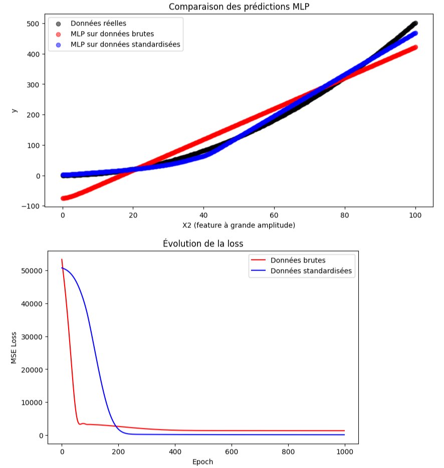 Comparaison MLP brutes vs standardisées