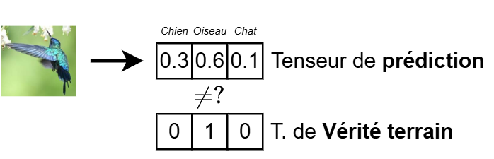 Illustration d'une classification